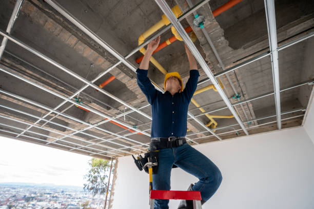 Best Plumbing Services Near Me  in Lincoln Park, MI