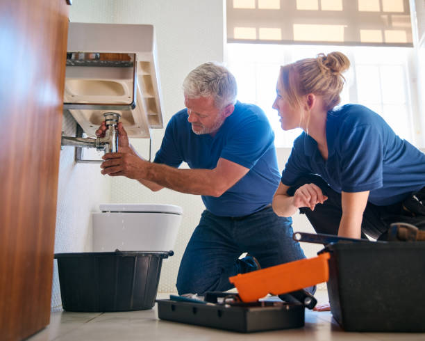 Best Water Softener Installation  in Lincoln Park, MI